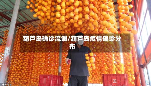 葫芦岛确诊流调/葫芦岛疫情确诊分布-第2张图片