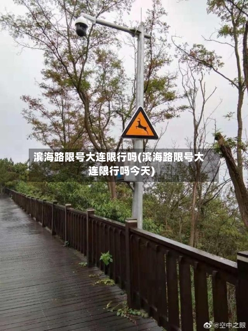 滨海路限号大连限行吗(滨海路限号大连限行吗今天)