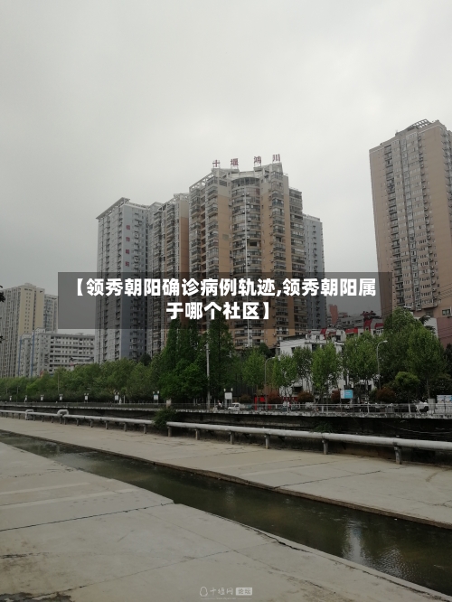 【领秀朝阳确诊病例轨迹,领秀朝阳属于哪个社区】-第2张图片