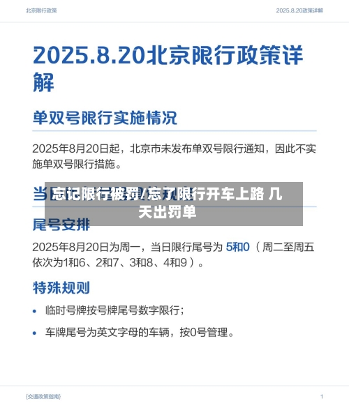 忘记限行被罚/忘了限行开车上路 几天出罚单