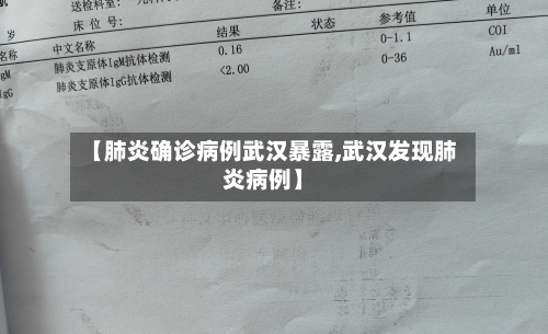 【肺炎确诊病例武汉暴露,武汉发现肺炎病例】-第2张图片