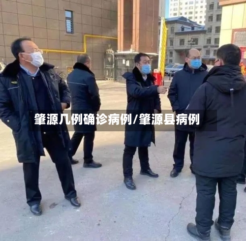 肇源几例确诊病例/肇源县病例