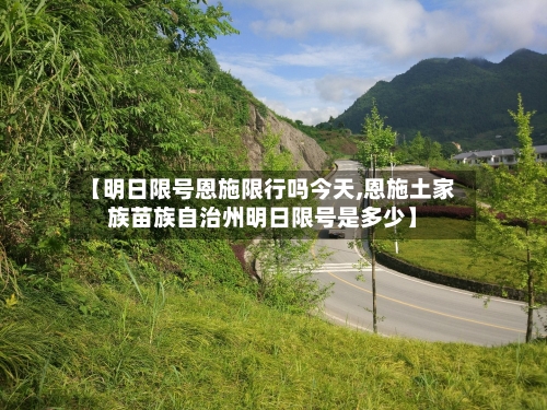 【明日限号恩施限行吗今天,恩施土家族苗族自治州明日限号是多少】-第3张图片