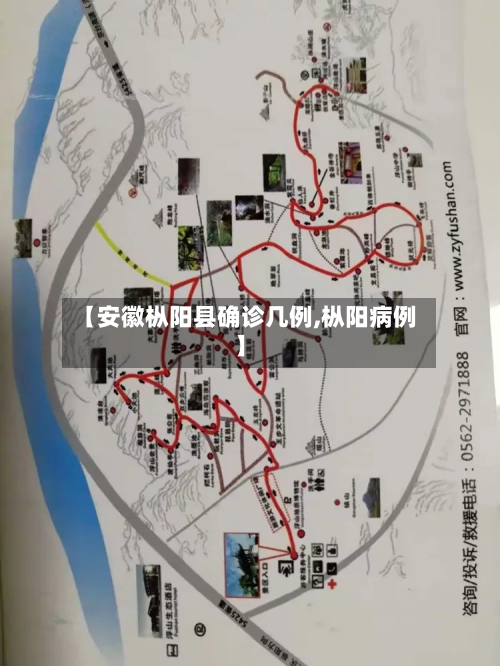 【安徽枞阳县确诊几例,枞阳病例】