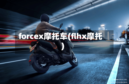 forcex摩托车(flhx摩托)-第2张图片