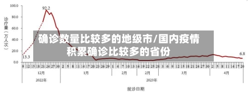 确诊数量比较多的地级市/国内疫情积累确诊比较多的省份