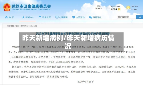 昨天新增病例/昨天新增病历情况-第3张图片