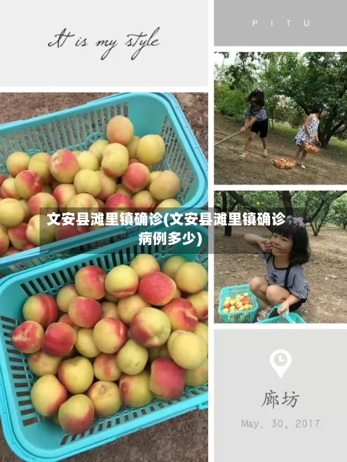 文安县滩里镇确诊(文安县滩里镇确诊病例多少)-第2张图片