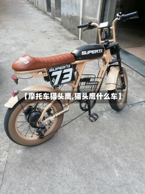 【摩托车猫头鹰,猫头鹰什么车】-第2张图片