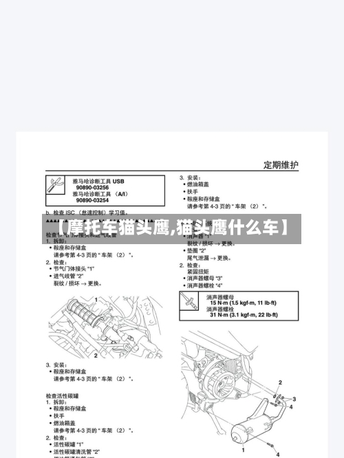 【摩托车猫头鹰,猫头鹰什么车】-第3张图片