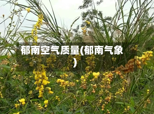郁南空气质量(郁南气象)
