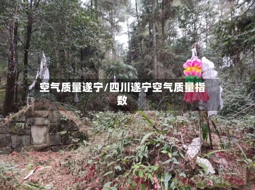 空气质量遂宁/四川遂宁空气质量指数-第2张图片