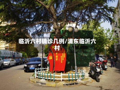 临沂六村确诊几例/浦东临沂六村